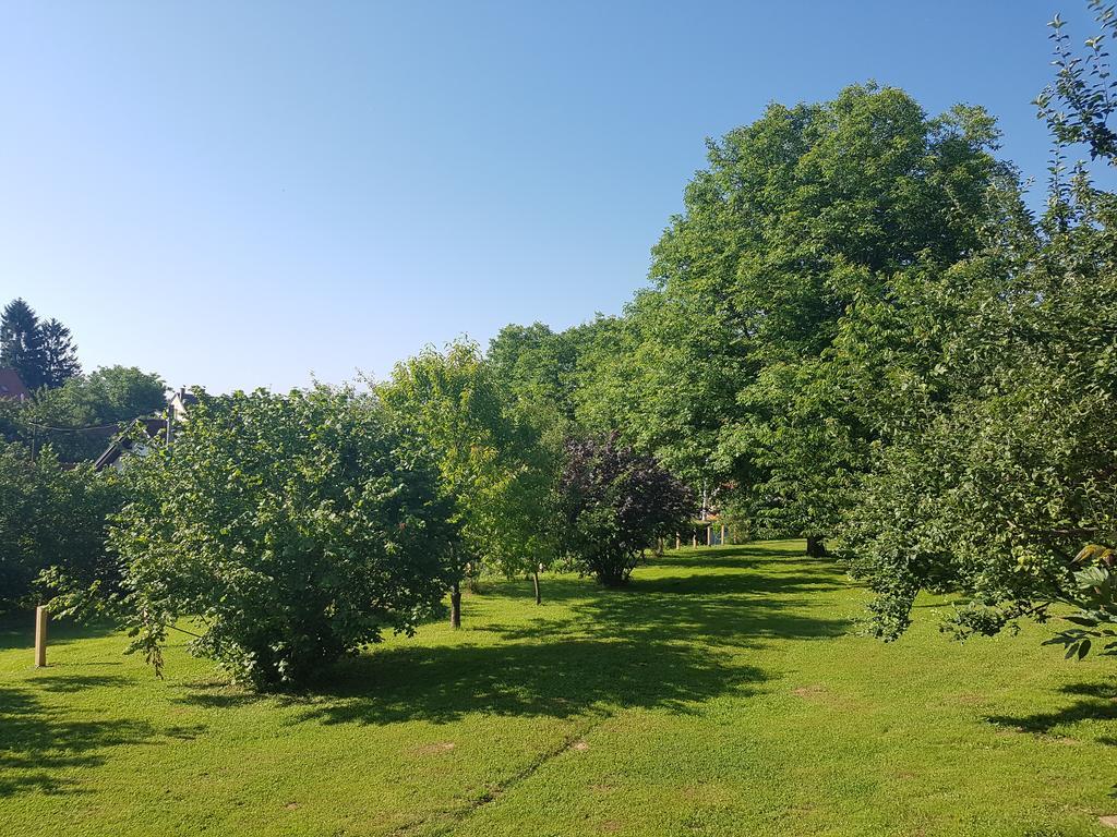 House Wisteria Villa Rakovica Eksteriør bilde